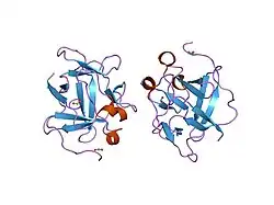1jt4: Human Acidic Fibroblast Growth Factor. 141 Amino Acid Form with Amino Terminal His Tag AND VAL 109 REPLACED BY LEU (V109L)