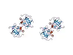1jtc: Human Acidic Fibroblast Growth Factor. 141 Amino Acid Form with Amino Terminal His Tag AND LEU 44 REPLACED BY PHE (L44F)