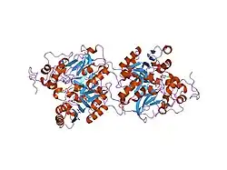 1mu9: Crystal Structure of a Human Tyrosyl-DNA Phosphodiesterase (Tdp1)-Vanadate Complex
