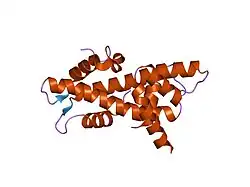 1n1j: Crystal structure of the NF-YB/NF-YC histone pair