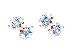 1nzk: Crystal Structure of a Multiple Mutant (L44F, L73V, V109L, L111I, C117V) of Human Acidic Fibroblast Growth Factor