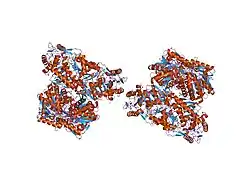 1o04: Cys302Ser mutant of human mitochondrial aldehyde dehydrogenase complexed with NAD+ and Mg2+