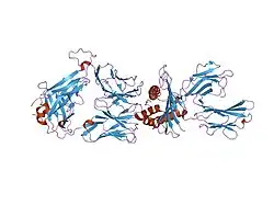 1oga: A STRUCTURAL BASIS FOR IMMUNODOMINANT HUMAN T-CELL RECEPTOR RECOGNITION.