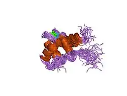 1ozs: C-domain of human cardiac troponin C in complex with the inhibitory region of human cardiac troponin I