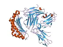 1p7q: Crystal Structure of HLA-A2 Bound to LIR-1, a Host and Viral MHC Receptor