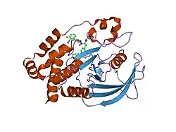 1ph0: Non-carboxylic Acid-Containing Inhibitor of PTP1B Targeting the Second Phosphotyrosine Site