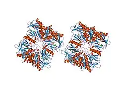 1pk8: Crystal Structure of Rat Synapsin I C Domain Complexed to Ca.ATP