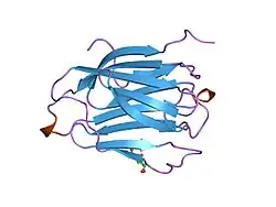 1qkq: CHARCOT-LEYDEN CRYSTAL PROTEIN - MANNOSE COMPLEX
