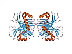 1qma: NUCLEAR TRANSPORT FACTOR 2 (NTF2) W7A MUTANT