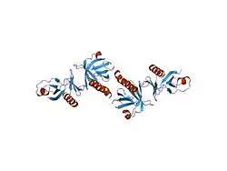 1qqg: CRYSTAL STRUCTURE OF THE PH-PTB TARGETING REGION OF IRS-1