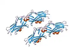 1qvy: Crystal structure of RhoGDI K(199,200)R double mutant