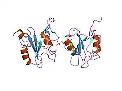 1r1q: Structural Basis for Differential Recognition of Tyrosine Phosphorylated Sites in the Linker for Activation of T cells (LAT) by the Adaptor Protein Gads