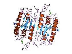 1rhq: CRYSTAL STRUCTURE OF THE COMPLEX OF CASPASE-3 WITH A BROMOMETHOXYPHENYL INHIBITOR
