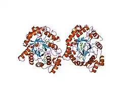 1ry8: Prostaglandin F synthase complexed with NADPH and rutin
