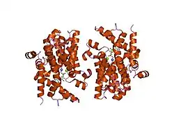 1tb5: Catalytic Domain Of Human Phosphodiesterase 4B In Complex With AMP