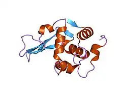 1tdy: DISSECTION OF THE FUNCTIONAL ROLE OF STRUCTURAL ELEMENTS OF TYROSINE-63 IN THE CATALYTIC ACTION OF HUMAN LYSOZYME