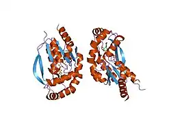 1uei: Crystal structure of human uridine-cytidine kinase 2 complexed with a feedback-inhibitor, UTP