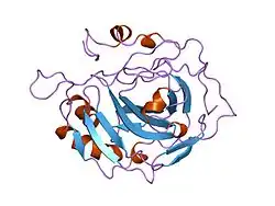 1ugd: HUMAN CARBONIC ANHYDRASE II[HCAII] (E.C.4.2.1.1) MUTANT WITH ALA 65 REPLACED BY SER (A65S)