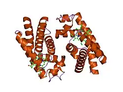 1umo: THE CRYSTAL STRUCTURE OF CYTOGLOBIN: THE FOURTH GLOBIN TYPE DISCOVERED IN MAN