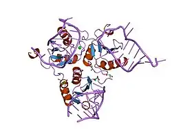 1urn: U1A MUTANT/RNA COMPLEX + GLYCEROL
