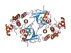 1uwj: THE COMPLEX OF MUTANT V599E B-RAF AND BAY439006