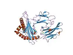1uxw: CRYSTAL STRUCTURE OF HLA-B*2709 COMPLEXED WITH THE LATENT MEMBRANE PROTEIN 2 PEPTIDE (LMP2) OF EPSTEIN-BARR VIRUS