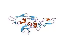 1uzq: INTEGRIN BINDING CBEGF22-TB4-CBEGF33 FRAGMENT OF HUMAN FIBRILLIN-1, APO FORM CBEGF23 DOMAIN ONLY.