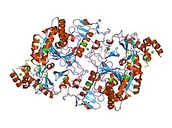 1vm8: Crystal structure of UDP-N-acetylglucosamine pyrophosphorylase (Agx2) from Mus musculus at 2.50 A resolution
