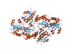1w89: STRUCTURE OF THE REDUCED FORM OF HUMAN THIOREDOXIN 2