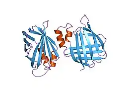 1xca: APO-CELLULAR RETINOIC ACID BINDING PROTEIN II