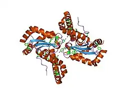1xdc: Hydrogen Bonding in Human Manganese Superoxide Dismutase containing 3-Fluorotyrosine