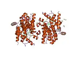 1xoq: Catalytic Domain Of Human Phosphodiesterase 4D In Complex With Roflumilast