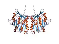 1xva: METHYLTRANSFERASE