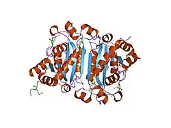 1y97: The human TREX2 3' exonuclease structure suggests a mechanism for efficient non-processive DNA catalysis