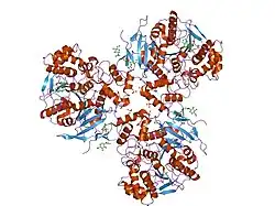 1ya8: Crystal Structure of Human Liver Carboxylesterase in complex with cleavage products of Mevastatin