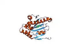1yc3: Crystal Structure of human HSP90alpha complexed with dihydroxyphenylpyrazoles