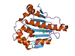 1yc4: Crystal structure of human HSP90alpha complexed with dihydroxyphenylpyrazoles