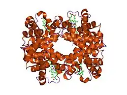 1yeq: T-To-T(High) quaternary transitions in human hemoglobin: betaW37Y OXY (10 test sets)