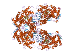 1z10: Crystal Structure of Human Microsomal P450 2A6 with Coumarin Bound