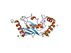 1z2u: The 1.1A crystallographic structure of ubiquitin-conjugating enzyme (ubc-2) from Caenorhabditis elegans: functional and evolutionary significance