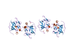 1z4s: Crystal Structure of Gly19 and Glu60 deletion mutant of Human Acidic Fibroblast Growth Factor