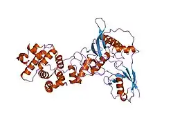 1z5s: Crystal structure of a complex between UBC9, SUMO-1, RANGAP1 and NUP358/RANBP2
