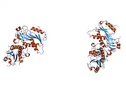 1z7g: Free human HGPRT