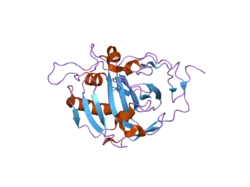 1z97: Human Carbonic Anhydrase III: Structural and Kinetic Study of Catalysis and Proton Transfer.