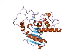 1ziz: Crystal Structure of Human Galactosyltransferase (GTB) Complexed with Galactose