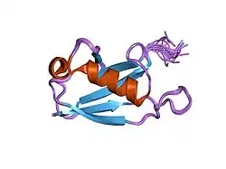 1zkh: Solution structure of a human ubiquitin-like domain in SF3A1