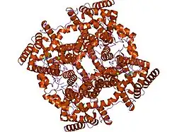 1zkn: Structure of PDE4D2-IBMX