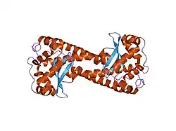 1zuq: Contribution to Structure and Catalysis of Tyrosine 34 in Human Manganese Superoxide Dismutase