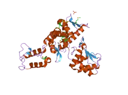 1zvd: Regulation of Smurf2 Ubiquitin Ligase Activity by Anchoring the E2 to the HECT domain