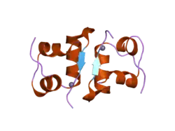 2a3g: The structure of T6 bovine insulin
